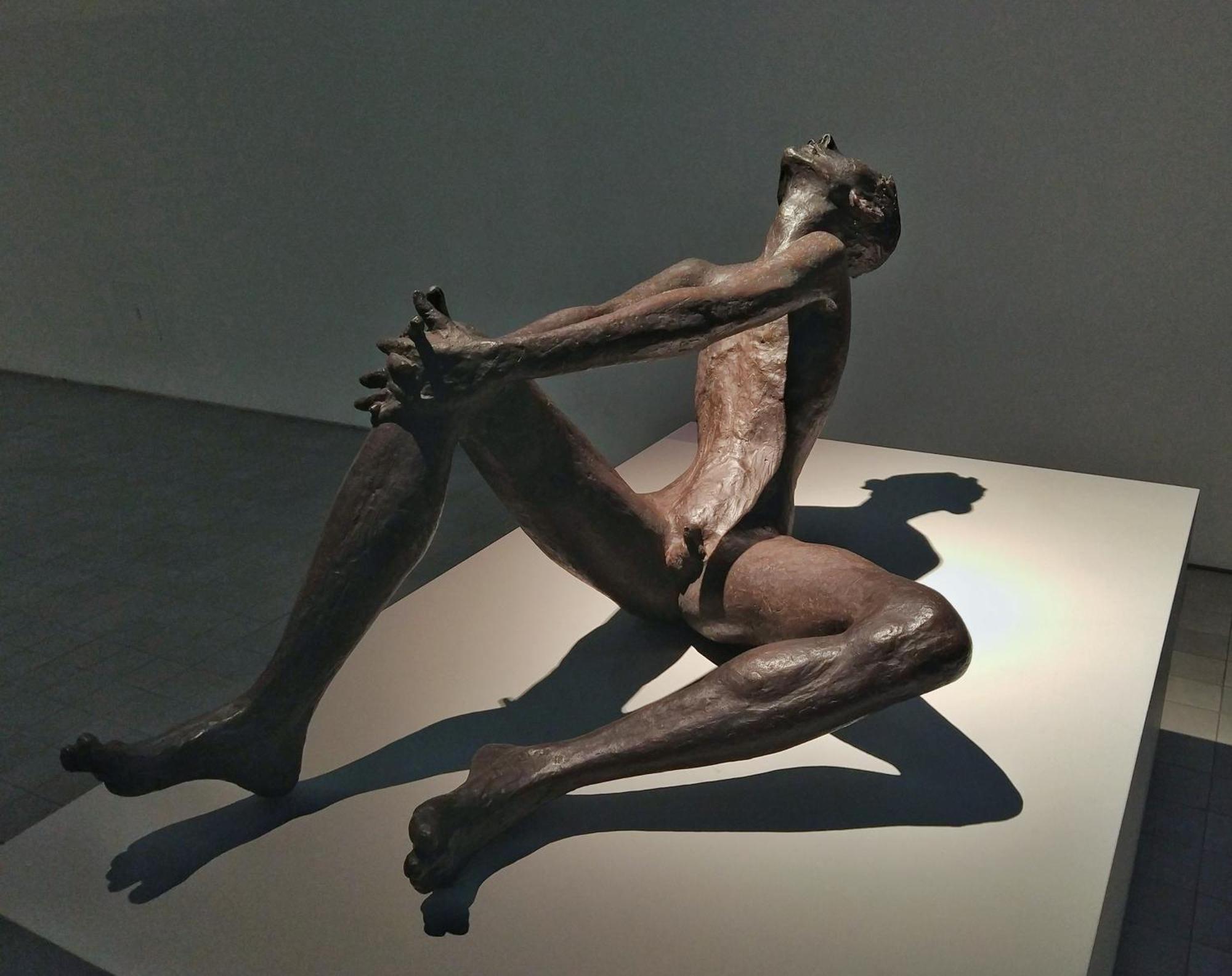 Mirador Del Portillo سرقسطة المظهر الخارجي الصورة